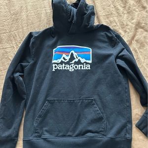 Patagonia hoodie